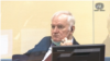 The Netherlands -- The hearing at the Mechanism for International Criminal Tribunals in The Hague in the trial of Ratko Mladic for genocide and other wartime crimes, August 25, 2020.