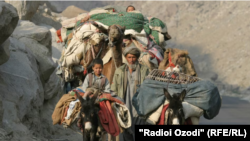 گروهی از کوچی های افغان در گوشۀ از کابل (آرشیف) 