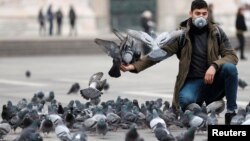 Чалавек корміць галубоў у Міляне, Італія