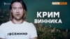 Винник-миротворець попросив вибачення за Крим