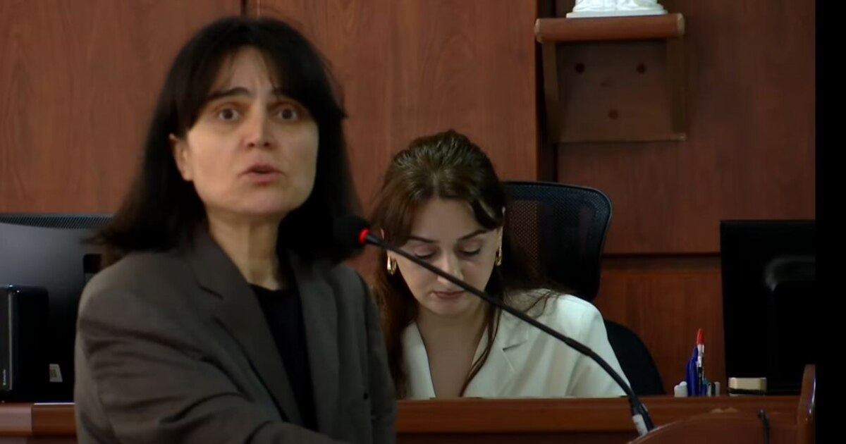 "ტკივილის ობიექტური ნიშნები არ იკვეთება" - სპეციალისტი მზია ამაღლობელის მიერ დგებუაძისთვის გაწნულ სილაზე