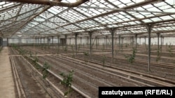 Armenia - A greenhouse in Ararat province, February 18, 2022