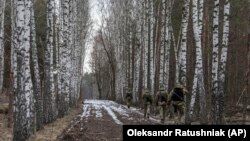 Belarus-Ukrayna sərhədində Ukrayna sərhədçiləri (Arxiv fotosu)