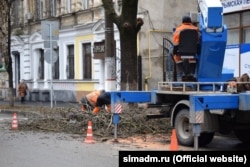 Обрезка деревьев в Симферополе, февраль 2022 года