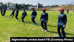 د افغانستان د کرکټ ملي لوبډلې لوبغاړي د تمریناتو پرمهال