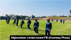 آرشیف- اعضای تیم ملی کریکت افغانستان در جریان تمرینات
