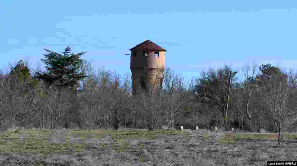Кирпичная водонапорная башня возвышается над зарослями деревьев и кустарников