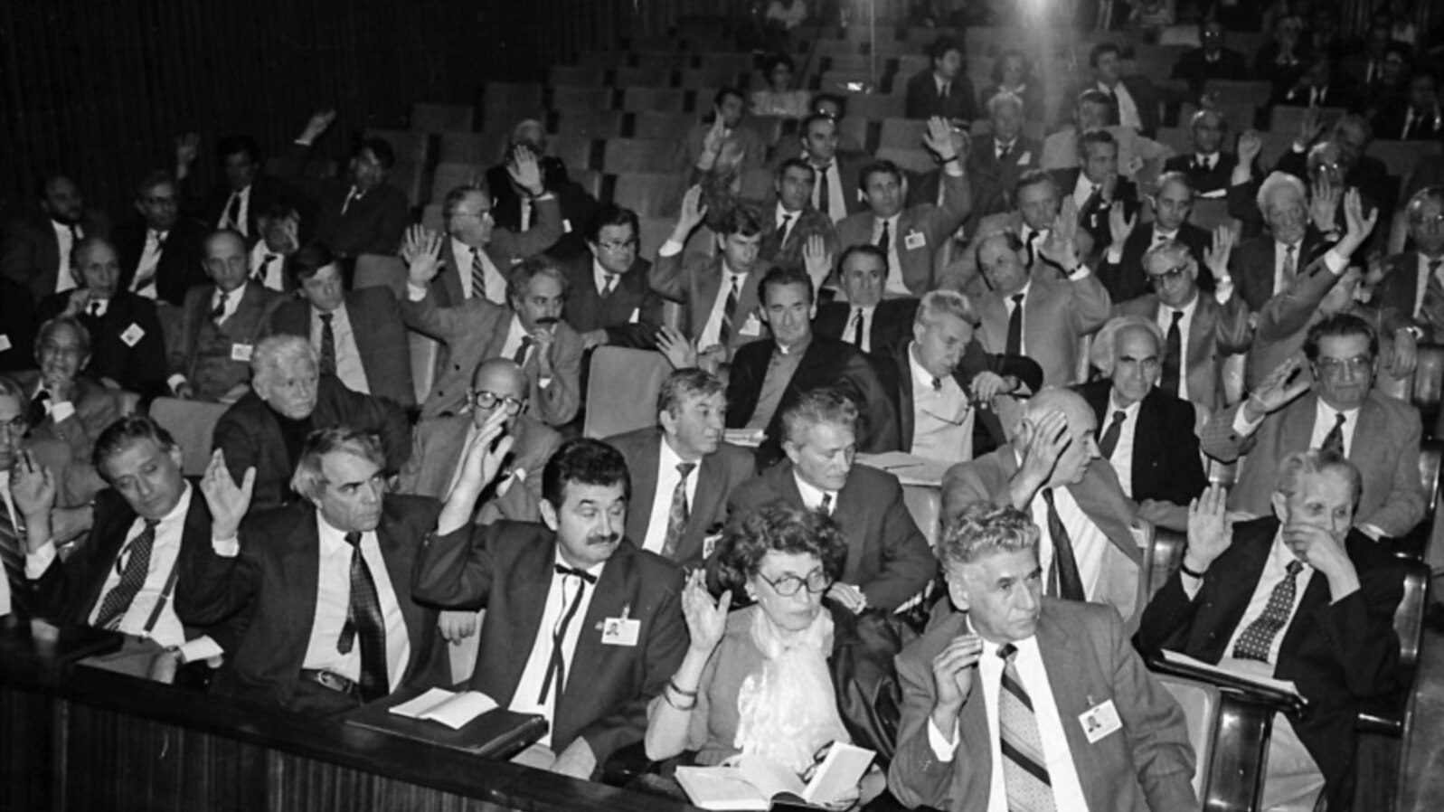 Parlamentari români în 1992, în primii ani ai democrației din România. Multe aveau să se schimbe, în cele trei decenii de după, în structura parlamentului țării.