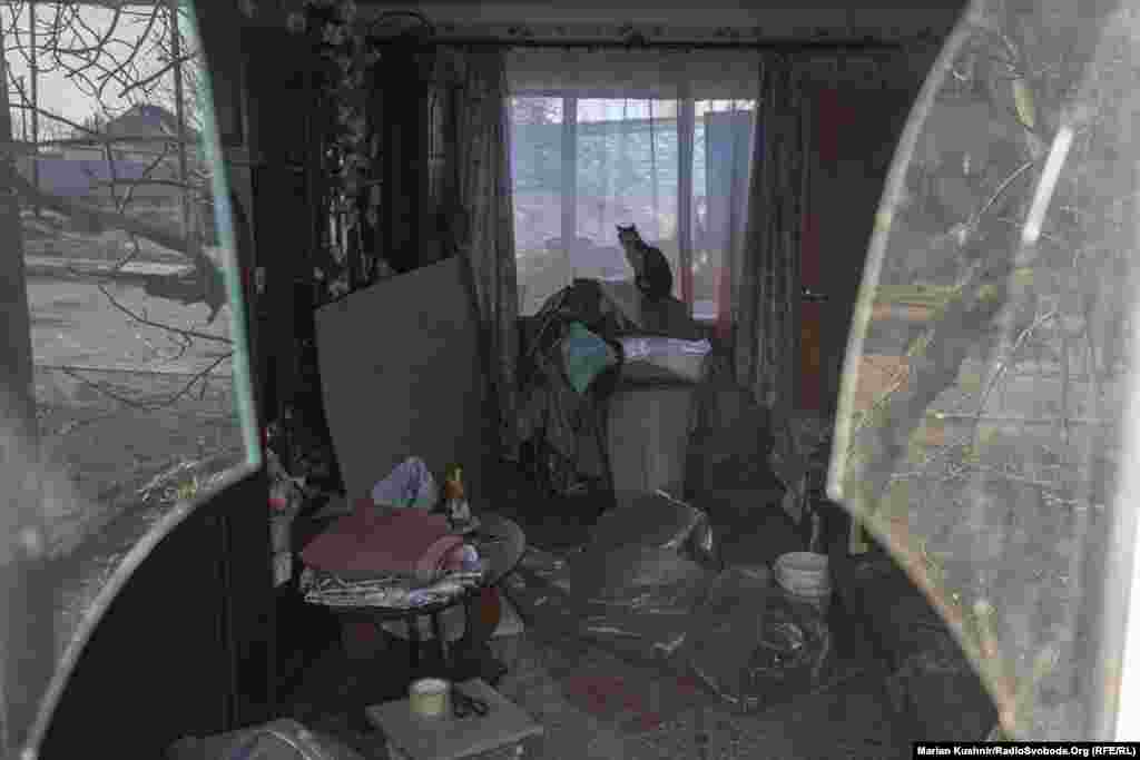 Кот сидит в окне разрушенной гостиной в доме жительницы Новолуганского Зои. Дом женщины был почти полностью уничтожен в результате артиллерийских обстрелов поддерживаемыми Россией боевиками