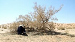 Bima që i ndihmon Arabisë Saudite për mbrojtje klimatike