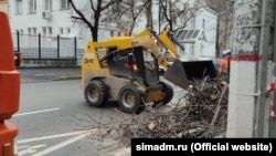 Обрезка деревьев в Симферополе, февраль 2022 года
