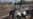 Iran To Download Data From Crashed Plane Amid Suggestions Missile To Blame