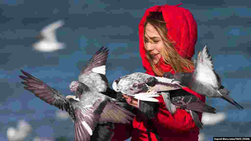 Дівчина годує голубів на березі Чорного моря в Феодосії