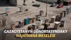 Gazagystandaky hajathana meselesi