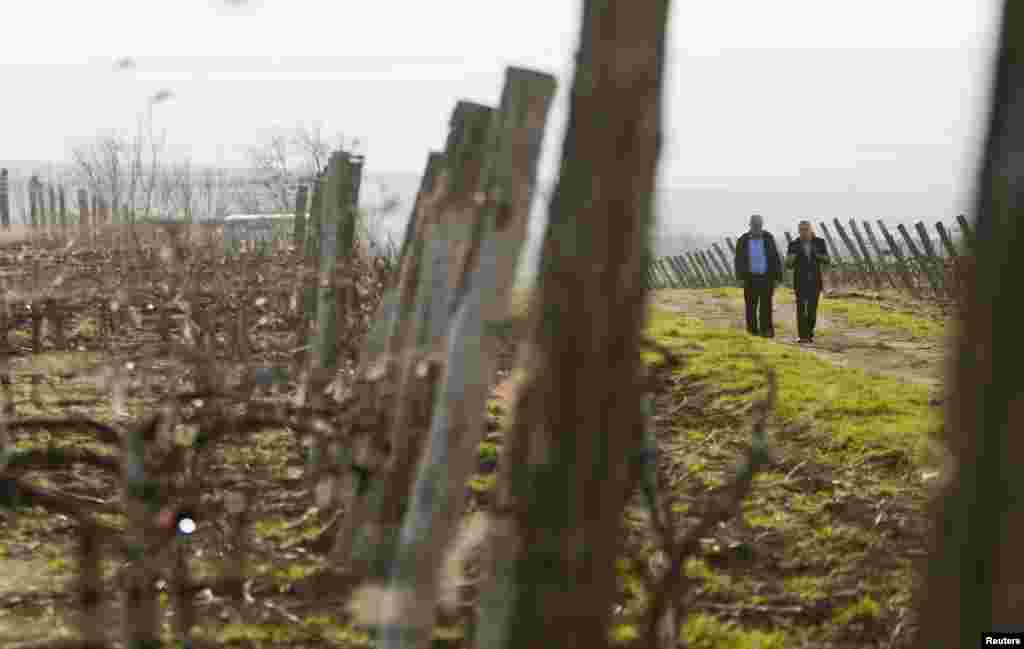 Men walk along the Tomai vineyard located near Comrat, the administrative center of the autonomous Moldovan province Gagauzia, which has been given an exclusive reprieve to Russia&#39;s ban on Moldovan wine after a local referendum chose closer ties to Moscow over the EU. (Reuters/Viktor Dimitrov)
