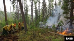Лесной пожар в Якутии, июль 2021 года
