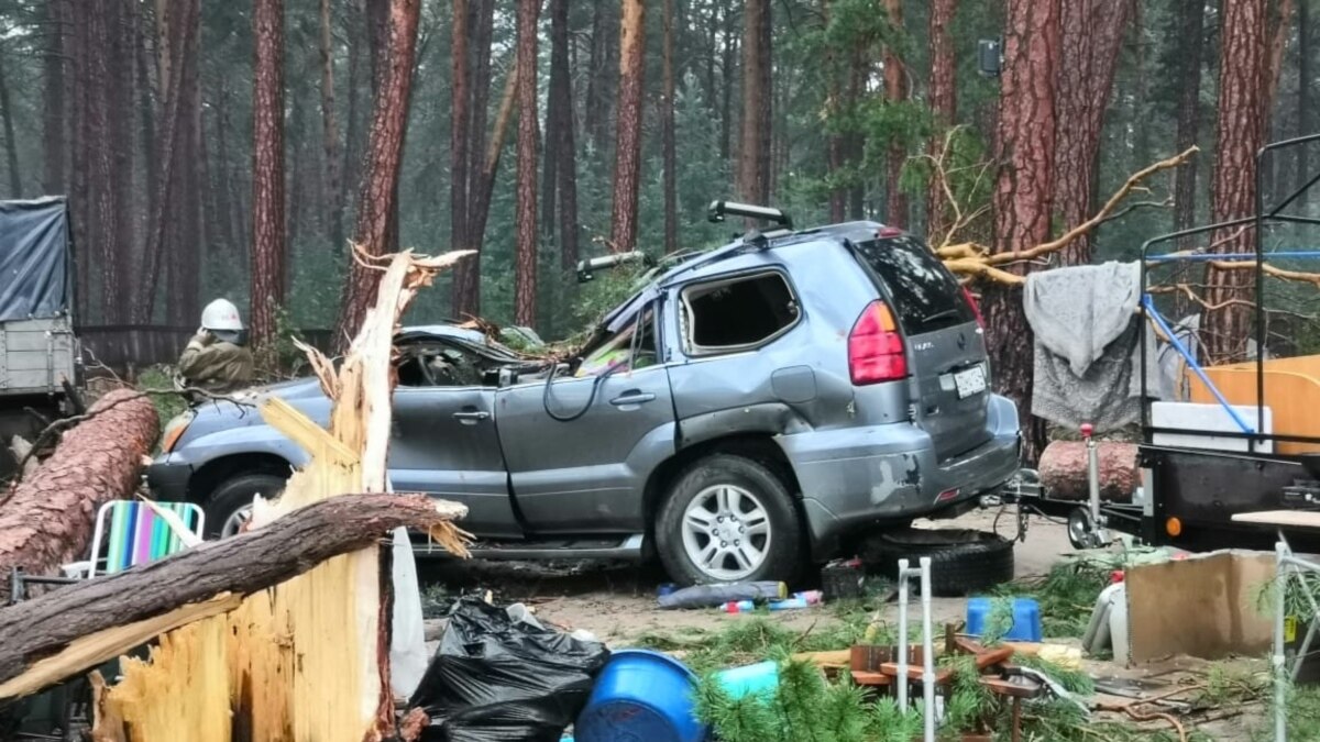 В Красноярске при падении деревьев в палаточном лагере пострадали шесть  отдыхающих