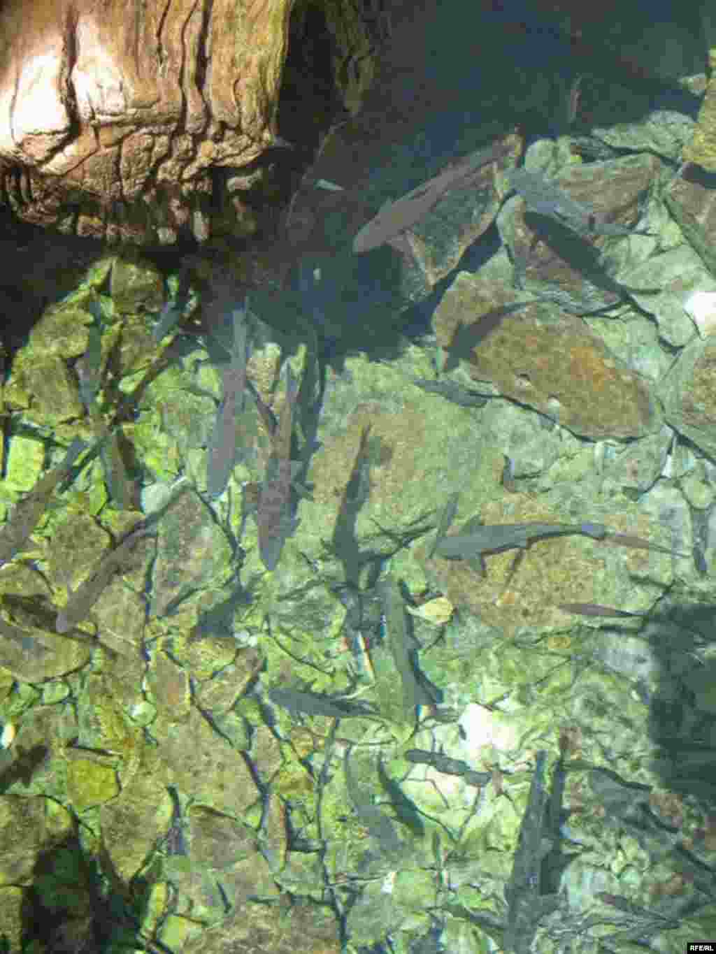 Зиёрати Чилучорчашма #35