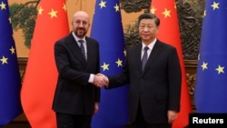 European Council President Charles Michel meets with Chinese President Xi Jinping in Beijing on December 1.