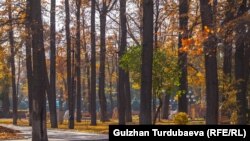 Бишкектеги парктардын биринен тартылган сүрөт. 2019-жыл, октябрь. 