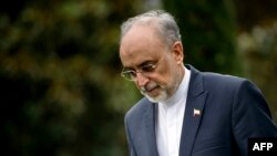 علی اکبر صالحی، رییس سازمان انرژی اتمی ایران