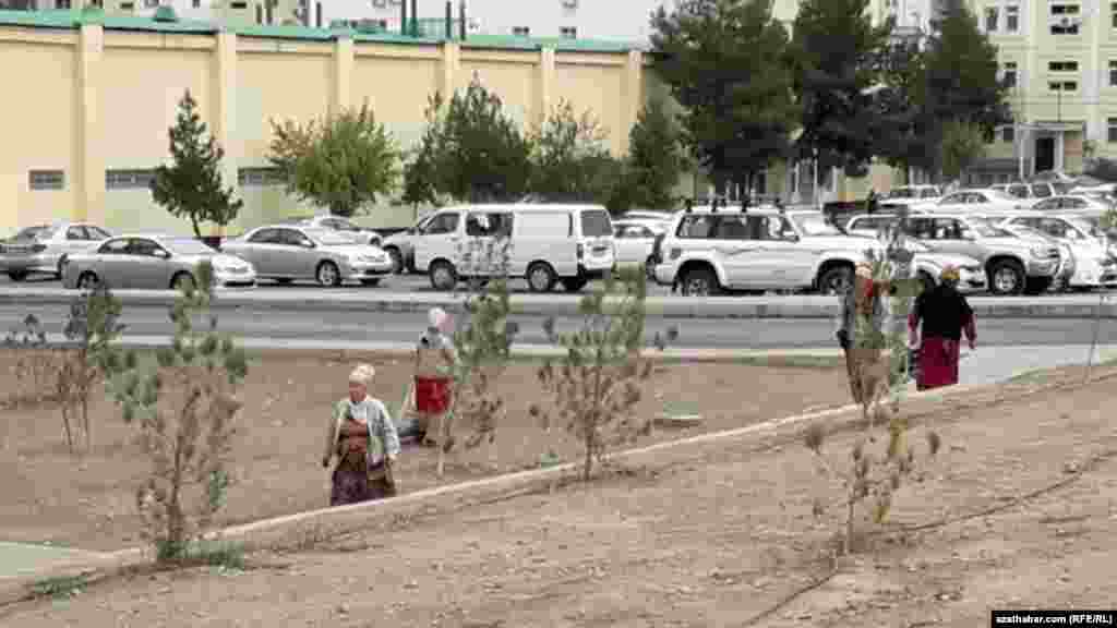 Zir-zibil ýygnaýan aýal maşgalalar