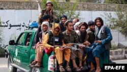آرشیف، شماری از نیروهای حکومت طالبان