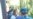 Karimova Pictured Under 'House Arrest'