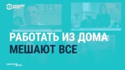 «Прошу прощения за кота». Как людям по всему миру работалось из дома в 2020-м