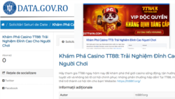 Imagine alterată. O reprezentare grafică a unuia dintre site-urile care și-au făcut reclamă pe platforma Guvernului.