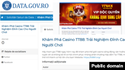 Imagine alterată. O reprezentare grafică a unuia dintre site-urile care și-au făcut reclamă pe platforma Guvernului.