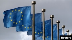Flamuj të BE-së. Fotografi nga arkivi. 