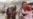 Detention Sparks Kyrgyz Protest