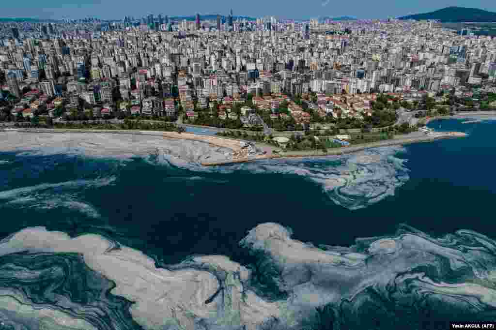 Кинорежиссер Тахсин Джейлан, снимающий документальный фильм о последствиях воздействия морской слизи, сказал, что загрязнение Мраморного моря в основном вызвано бытовыми отходами