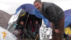 ვიდეოდაიჯესტი (25.03.2016)