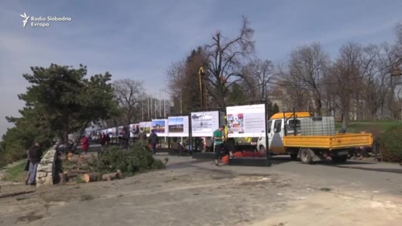 Gondola seče drveće u centru Beograda