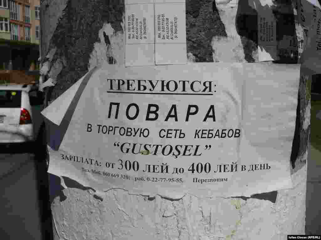 Bucătari la mare căutare