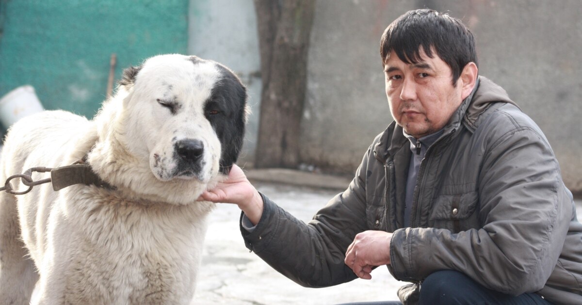 Лифт операторымен жыныстық қатынасты онлайн көру