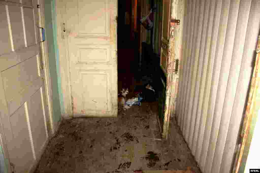 Travmalı Travmatologiya #8