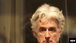 Radovan Karadzic faces the UN court in The Hague on August 29.