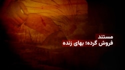 فروش گرده؛ بهای زنده ماندن