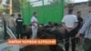 Дар Кӯлоб нархи як гӯсфанди қурбонӣ то 2800 сомонӣ боло рафтааст