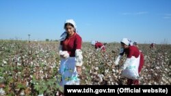 Turkmenistan. Mary province cotton growers fulfills contractual obligations. Photo taken from official media.