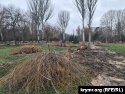 Спиленные деревья в парке им.Гагарина в Симферополе тут же обрабатывают на бревна и дрова. Декабрь 2025 года