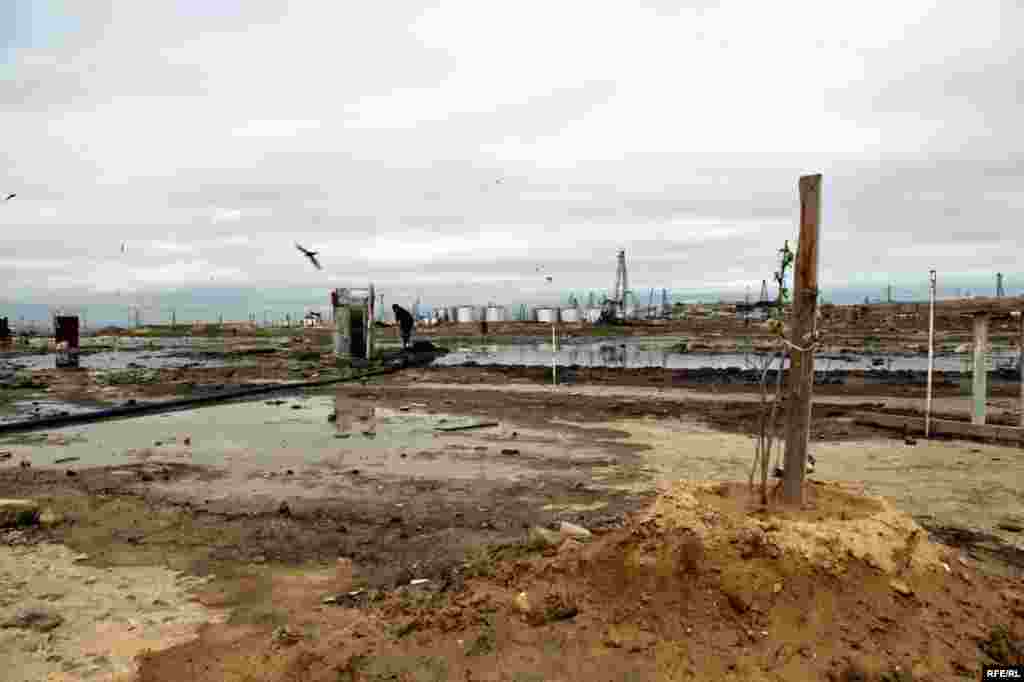 Bakının gecə və gündüz görüntüləri #7