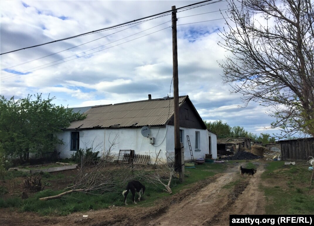 Депутат богатеет, пайщики — нет». Сельчане отдали свои земли за 12 600  тенге дивидендов в год