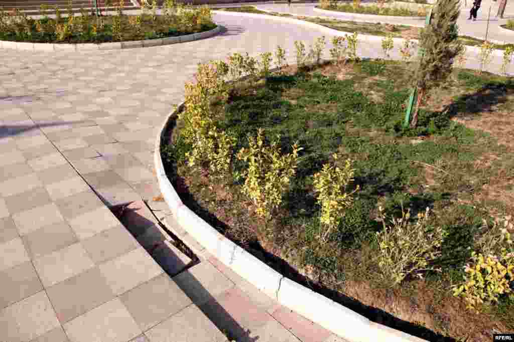 1 yaşlı qoca park #11