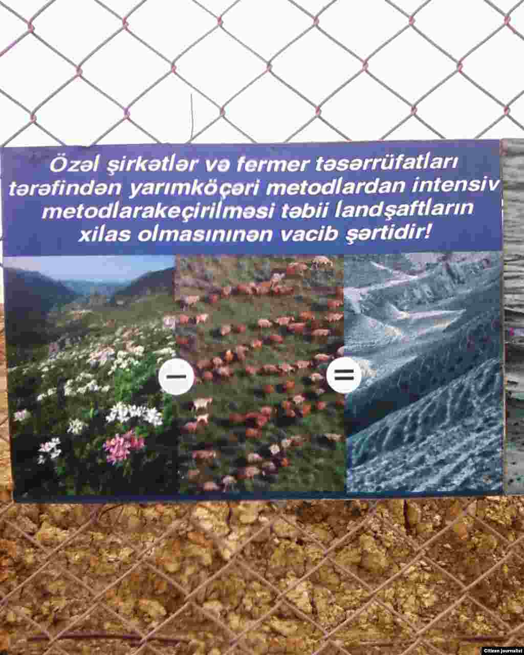 G&uuml;l-&ccedil;i&ccedil;ək +qoyun bərabərdir landşaft))))))))))))))) - Leyla g&ouml;ndərib.&nbsp;