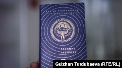 Кыргызстандын паспорту. Иллюстрациялык сүрөт.