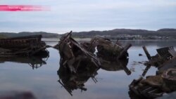 Как живет поселок Териберка после «Левиафана»? (видео)